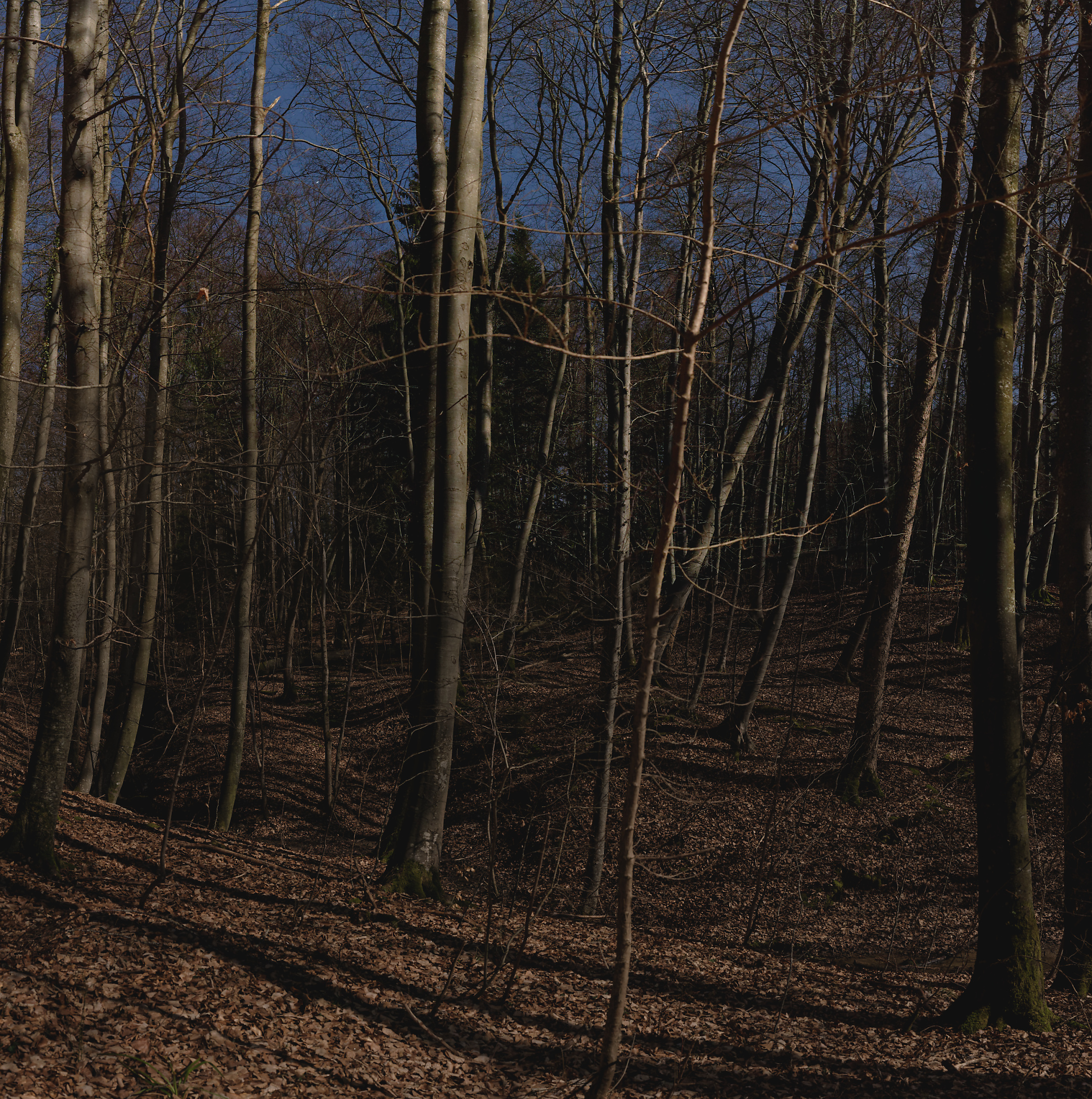 Erdrutsch5