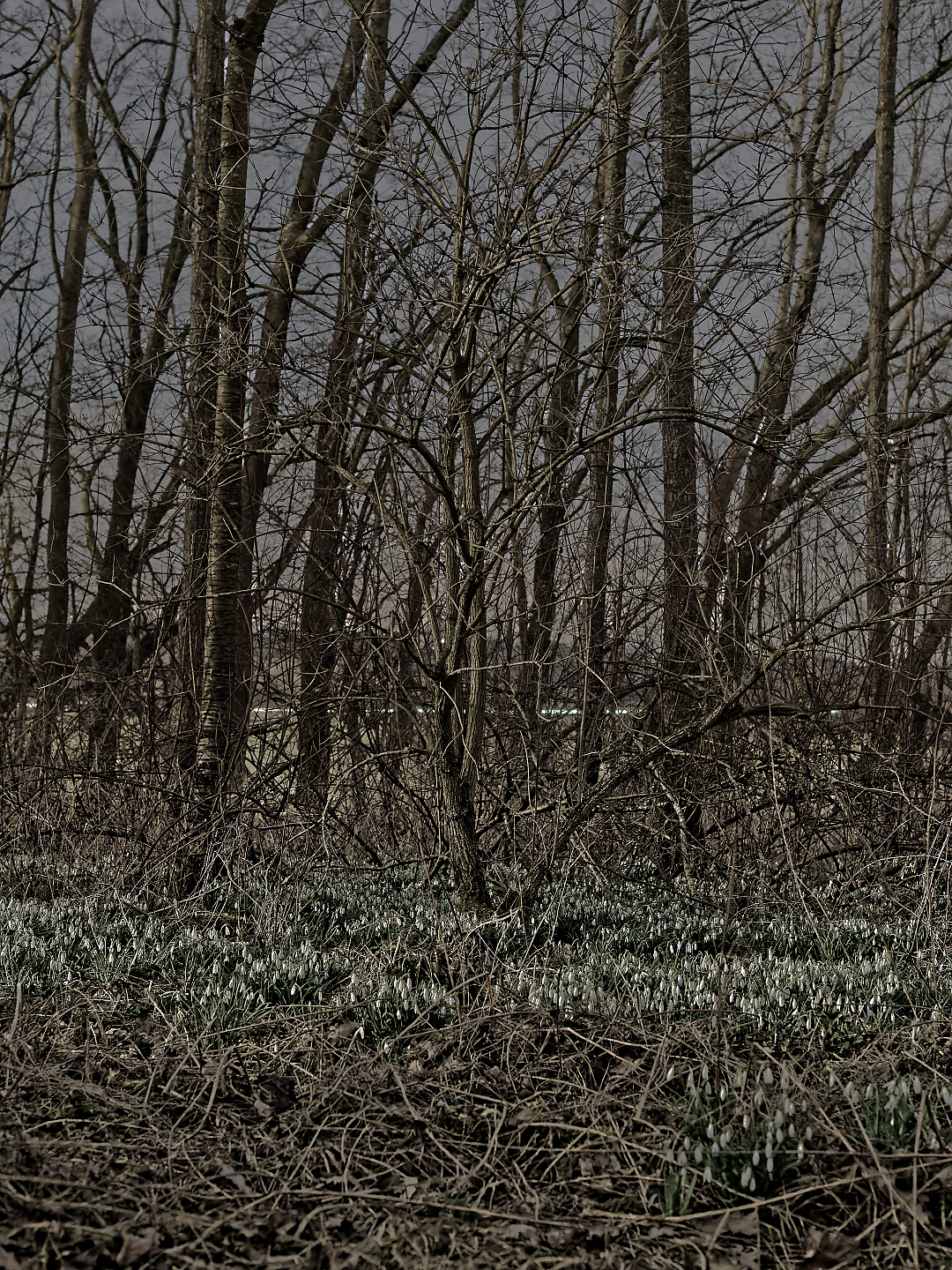 _DSC6827
