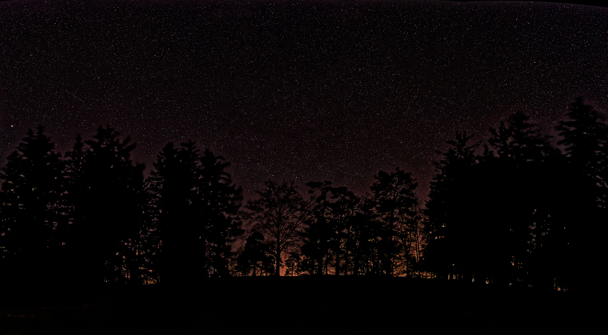 wald